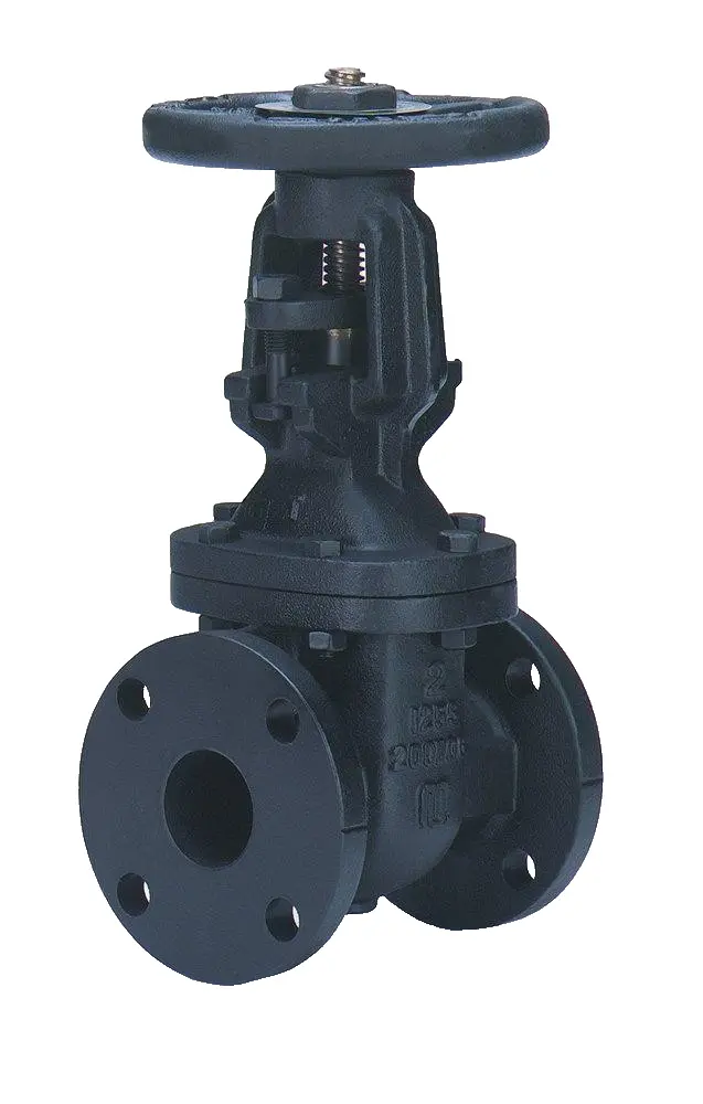 Milwaukee Valve 2885A-300, 3 In. Cast Iron Flanged Gate Valve 1