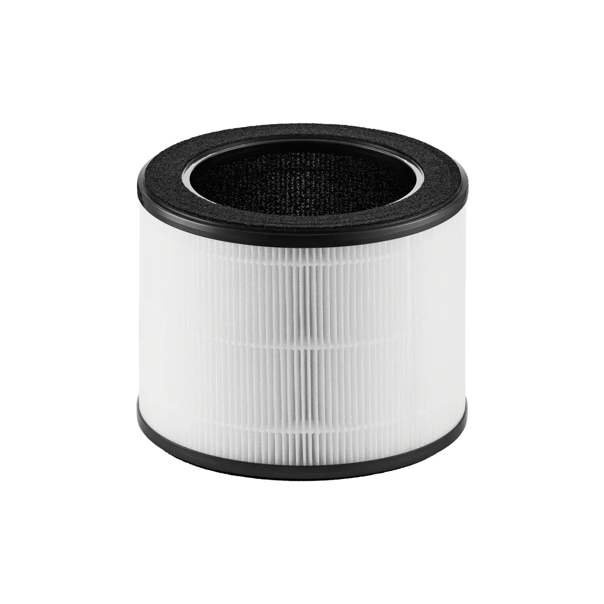 Airmega 100 Filter 1