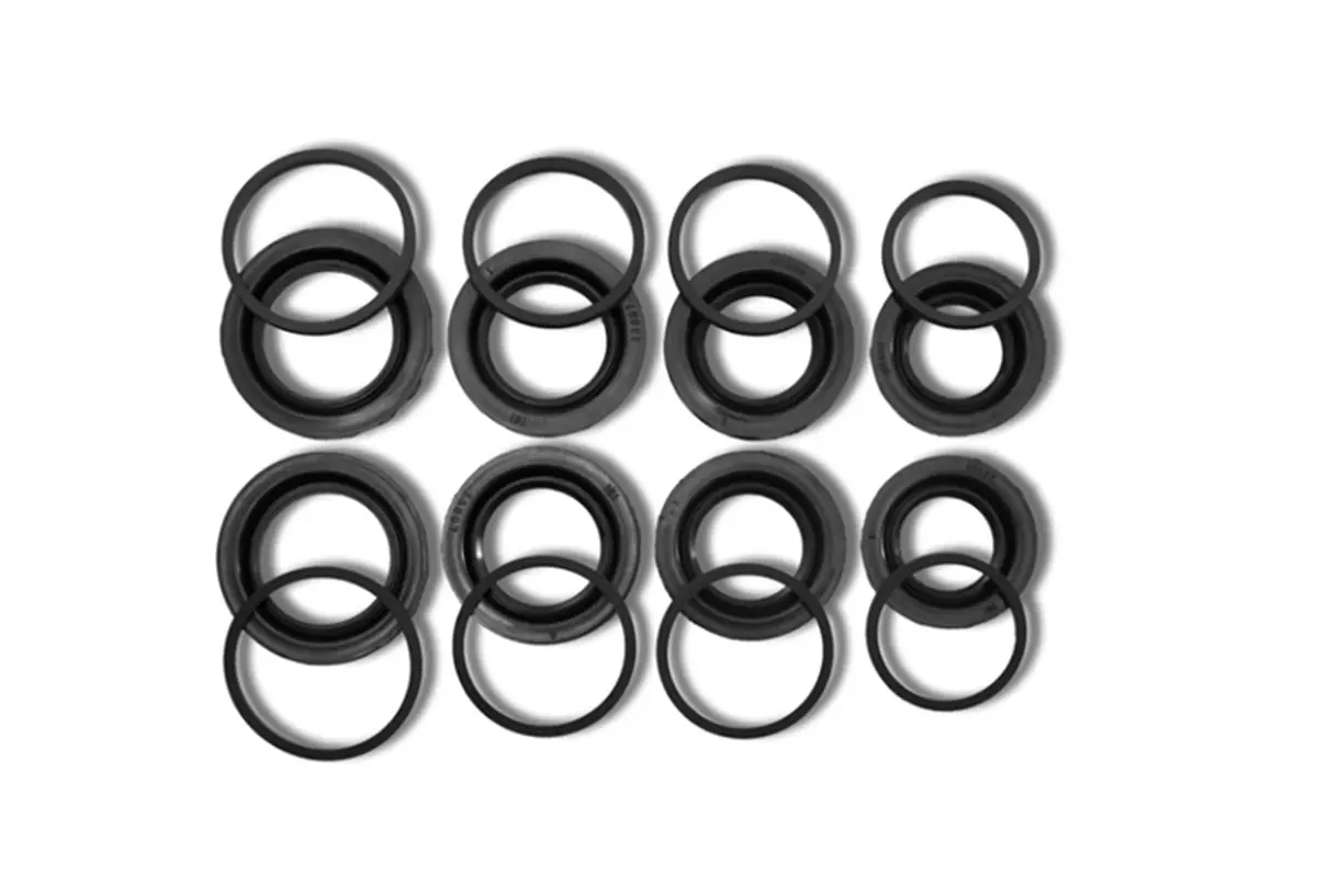 Girodisc Caliper Rebuild Kit For R8 Rs3 Huracan 1